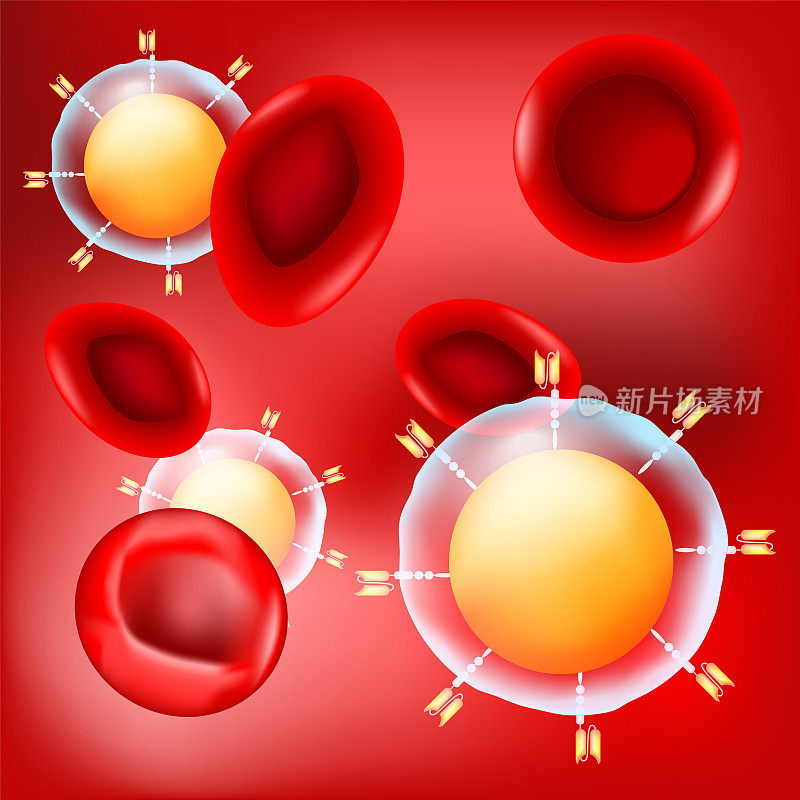 红色背景上是CAR - t细胞和红细胞。